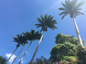 Parque Ruber Van Der Linder (Pau Pombo)