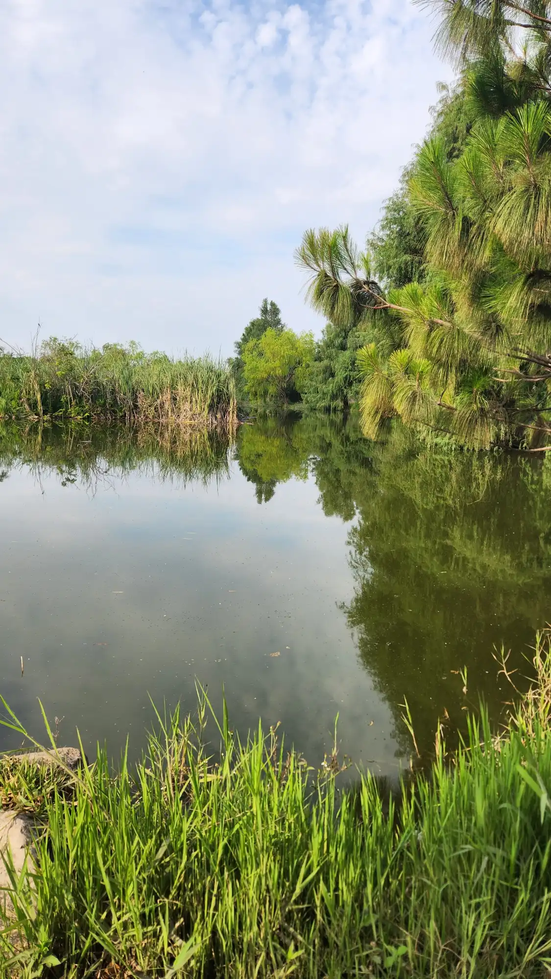 Hotels near Metropolitano Tepic Park