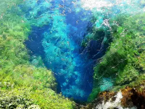 The Blue Eye
