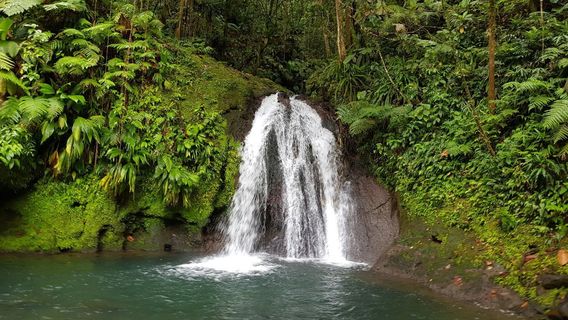 Cascade aux Ecrevisses