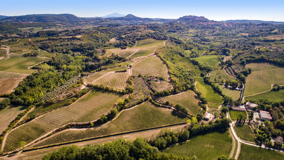 Tenuta Valdipiatta