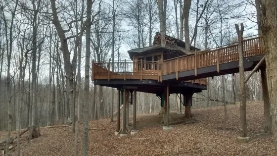 Mount Airy Forest