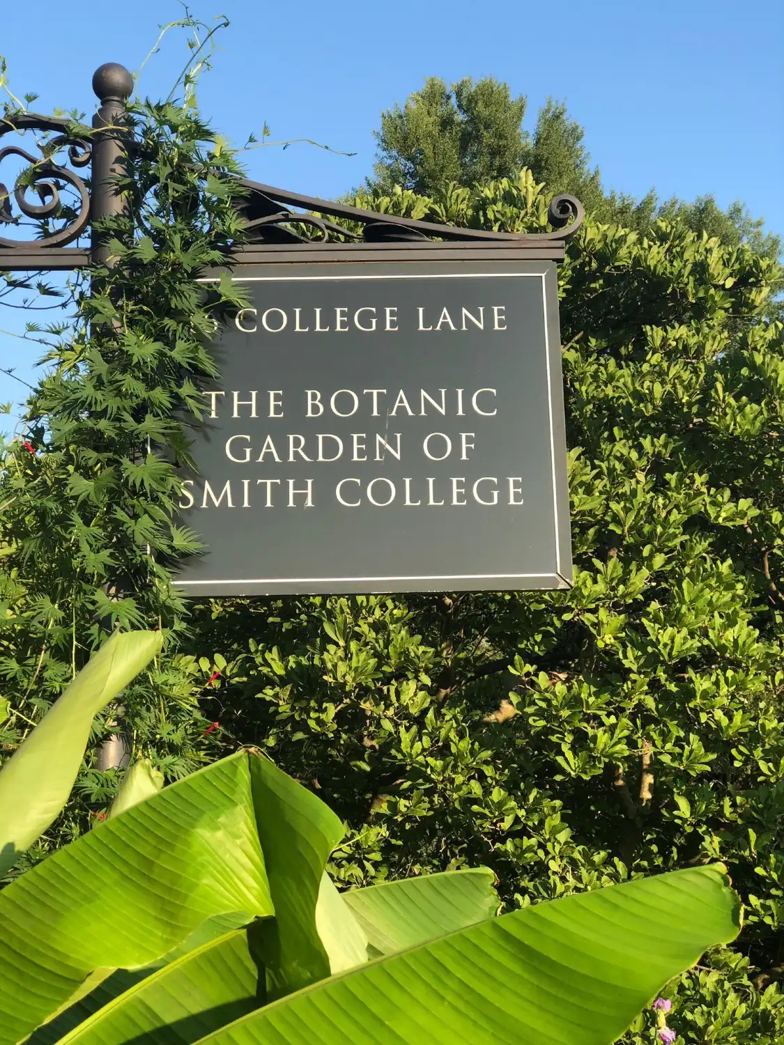 Hotels near The Botanic Garden of Smith College