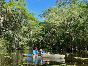 Manatee Springs State Park