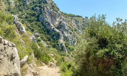니체의 산책로