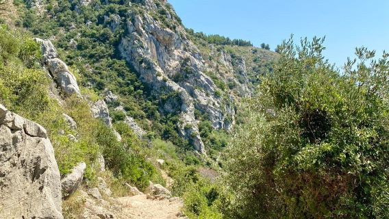 Chemin de Nietzsche