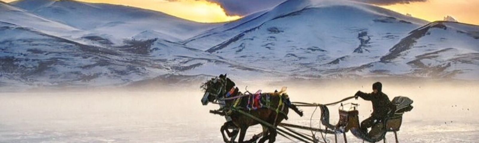 travel