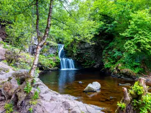Linn Falls