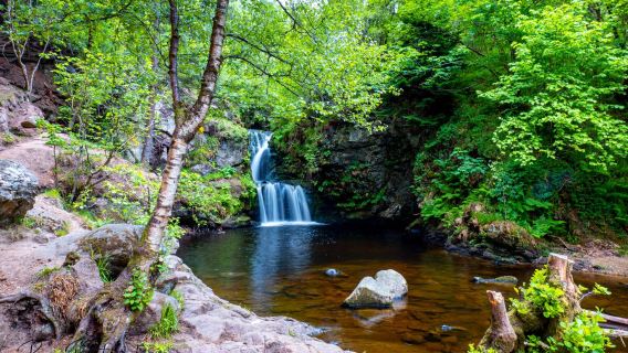 Linn Falls