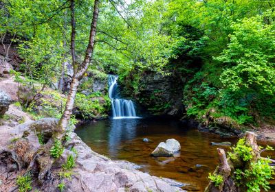 Aberlour