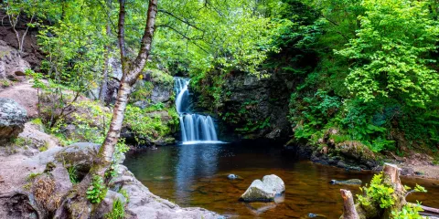 The Linn Falls