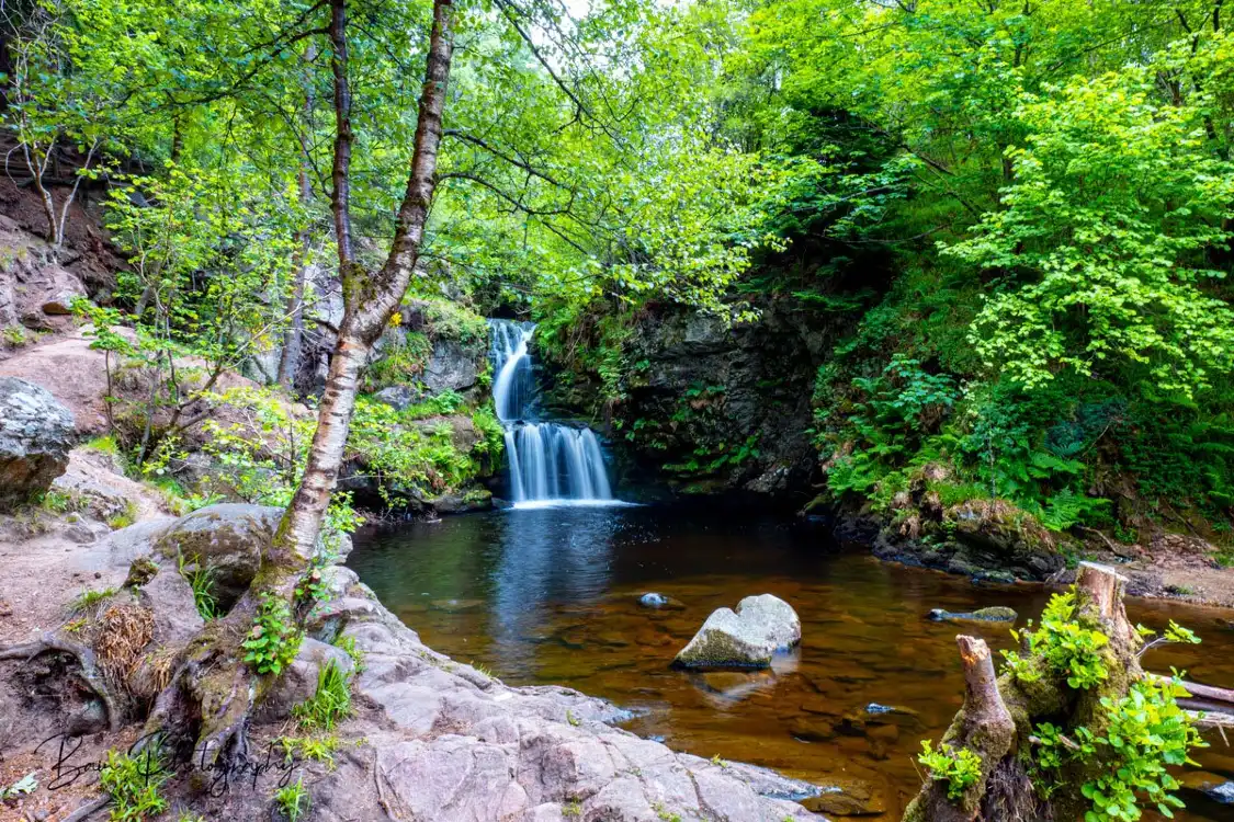 Linn Falls 주변 호텔