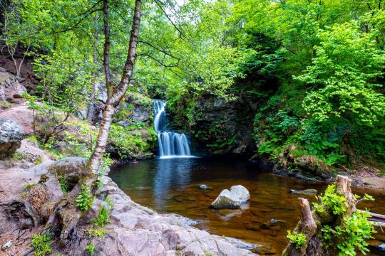 Linn Falls
