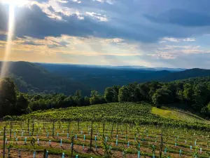 Stone Mountain Vineyards