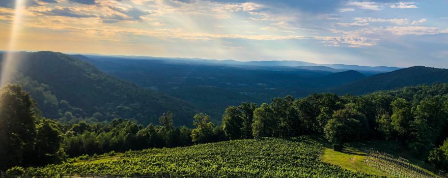 Stone Mountain Vineyards