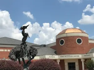 The Pearce Museum at Navarro College