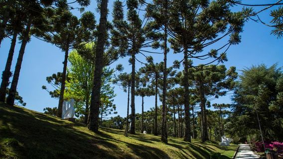 Museu Felicia Leirner