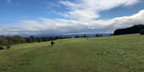 Millgate House Garden