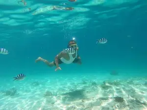 Kisite-Mpunguti Marine National Park and Reserve