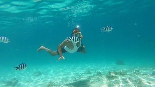 Kisite-Mpunguti Marine National Park and Reserve