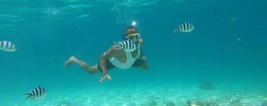 Kisite-Mpunguti Marine National Park and Reserve
