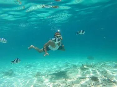 Kisite-Mpunguti Marine National Park and Reserve