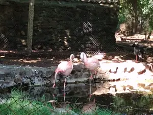 Salto Municipal Zoo