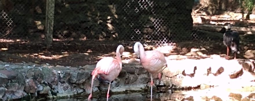 Salto Municipal Zoo