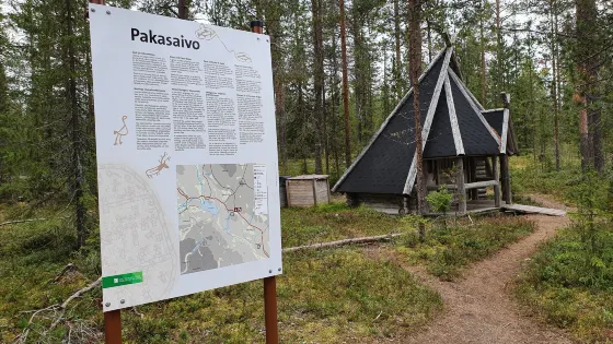 Pakasaivo