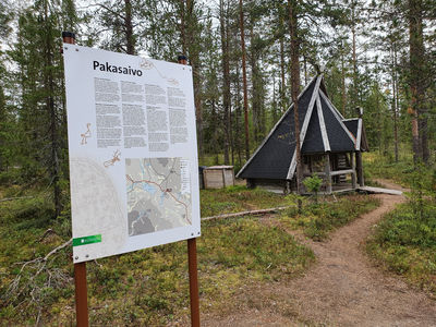 Pakasaivo