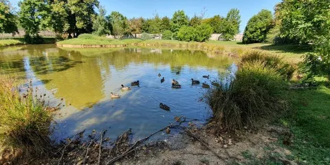 Parc de la Sauvagette