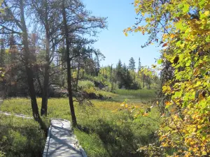 Chik-Wauk Museum and Nature Center