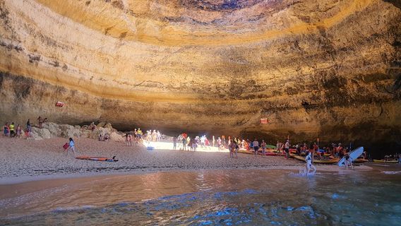 Wildwatch Algarve