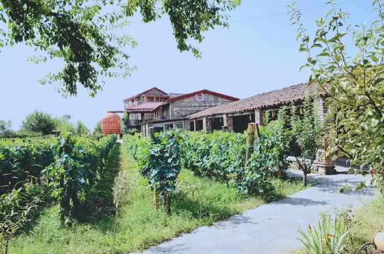 Hotels in Napareuli