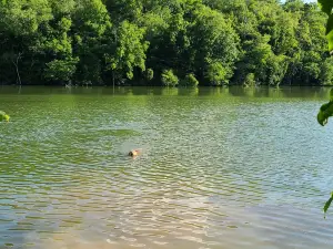 Peters Lake Park