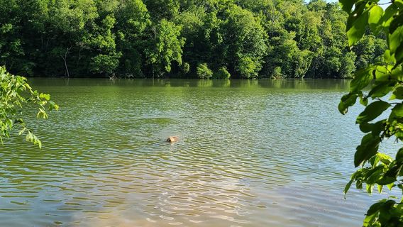 Peters Lake Park