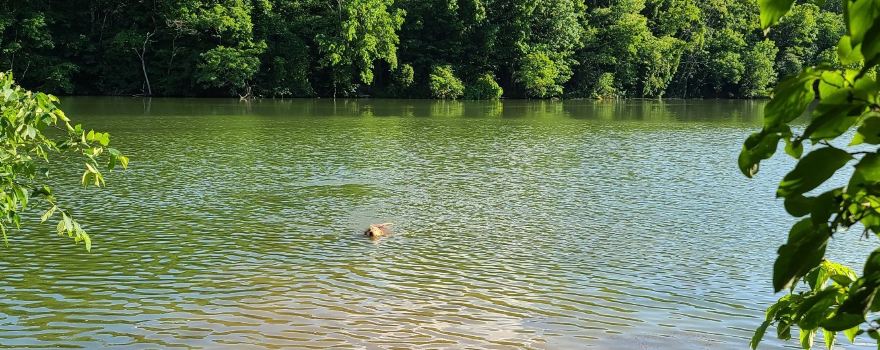Peters Lake Park