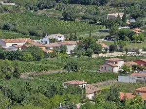 Castle of Châteauneuf-du-Pape