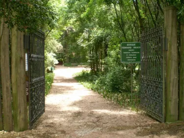 Bosque Reinhard Maack