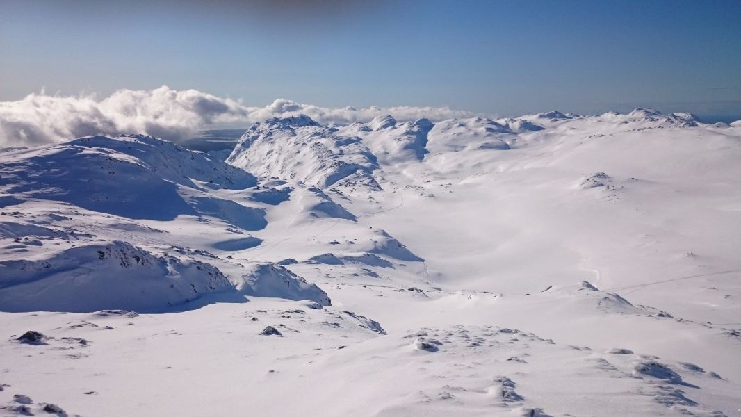 Asmara to Stord Flights