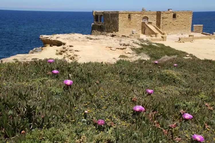 Hotels near Qolla l-Bajda Battery