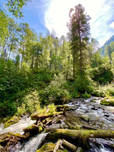 Turochaksky District