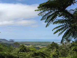 Mount Alexandra Lookout