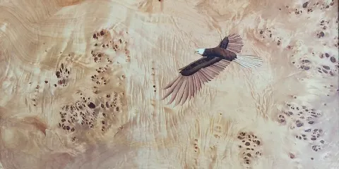 Imagine Marquetry Studio Gallery