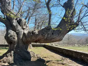 Ermita de La Alcobilla