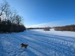 Andy's Bark Park