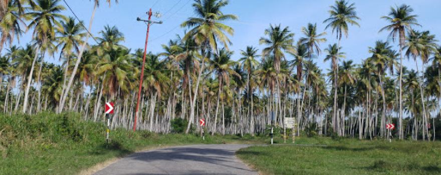 Cedros Bay