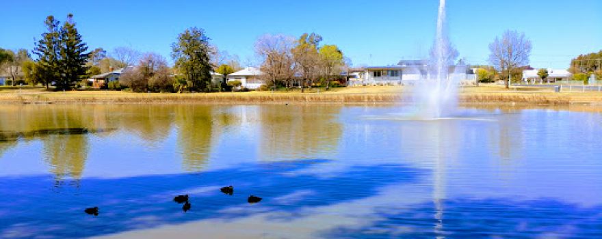 Apex Park