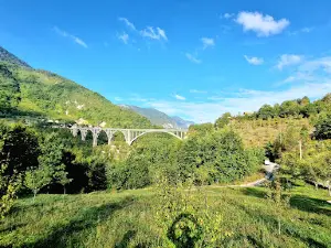 Tara ZipLIne