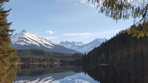 Fish Alaska ! Juneau Sport Fishing and Whales Watch